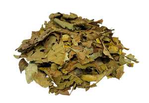 Guava Leaves Tea Herbal Infusion Herbs Hojas De Guayaba 105 gr /3.70oz 100% Natural Caffeine free Leaf