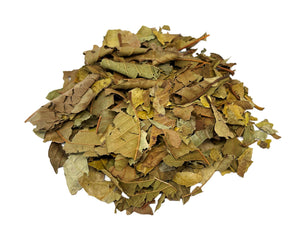 Guava Leaves Tea Herbal Infusion Herbs Hojas De Guayaba 105 gr /3.70oz 100% Natural Caffeine free Leaf